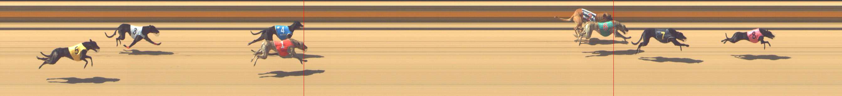 Photo finish for Shepparton Race 5