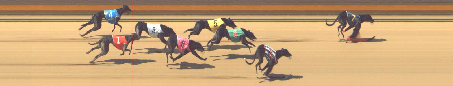 Photo finish for Shepparton Race 6