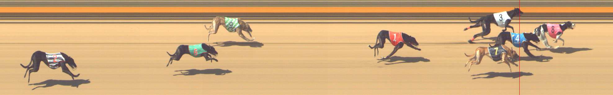 Photo finish for Shepparton Race 8