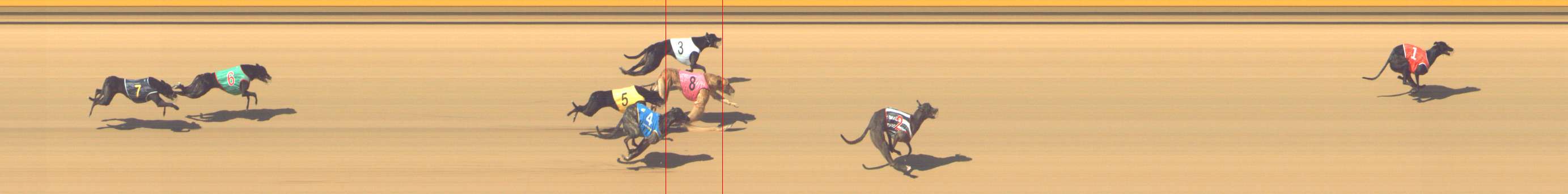 Photo finish for Shepparton Race 9