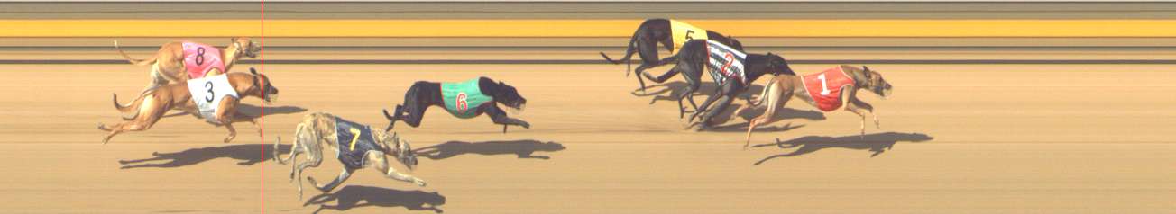 Photo finish for Shepparton Race 10