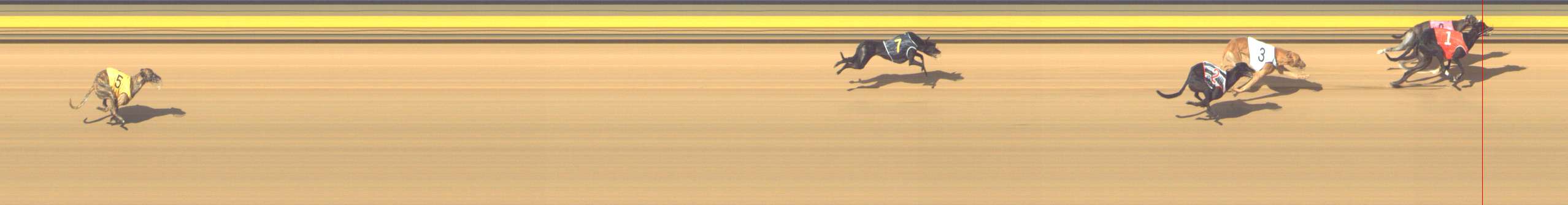 Photo finish for Shepparton Race 12