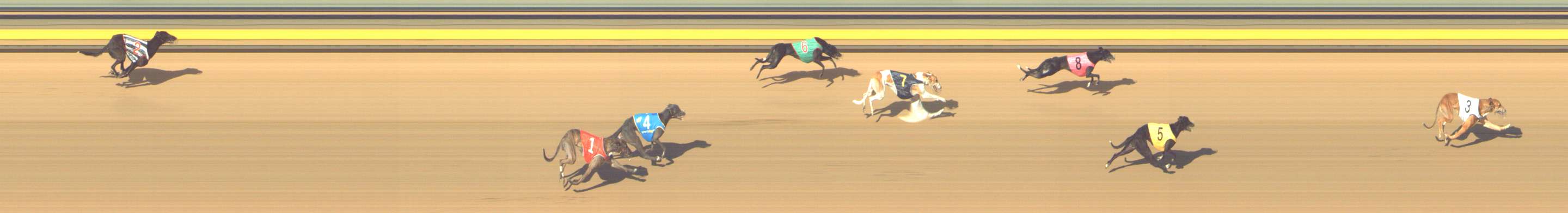 Photo finish for Shepparton Race 13