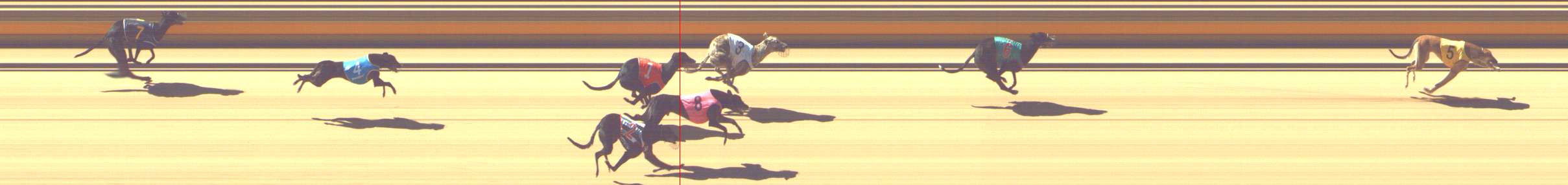 Photo finish for Shepparton Race 2