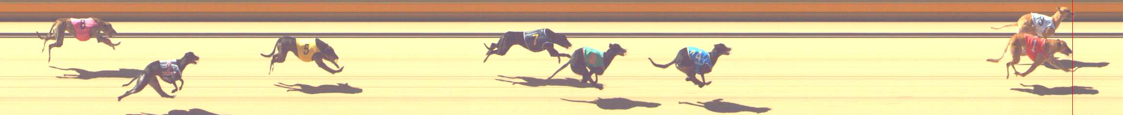 Photo finish for Shepparton Race 3