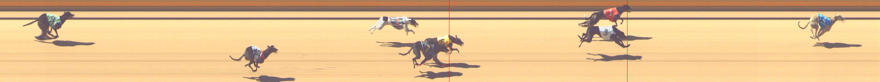Photo finish for Shepparton Race 4