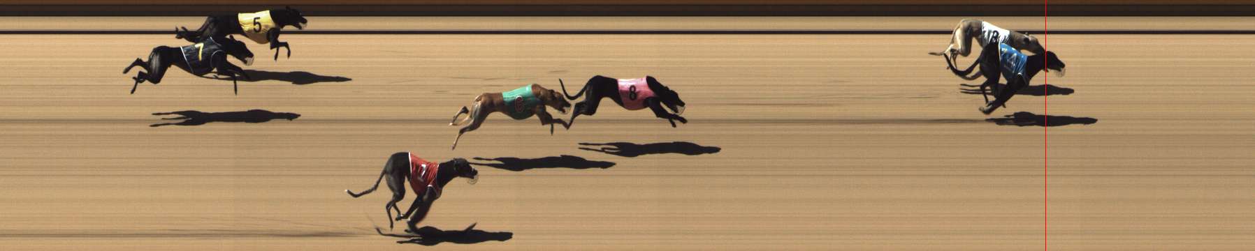 Photo finish for Shepparton Race 5