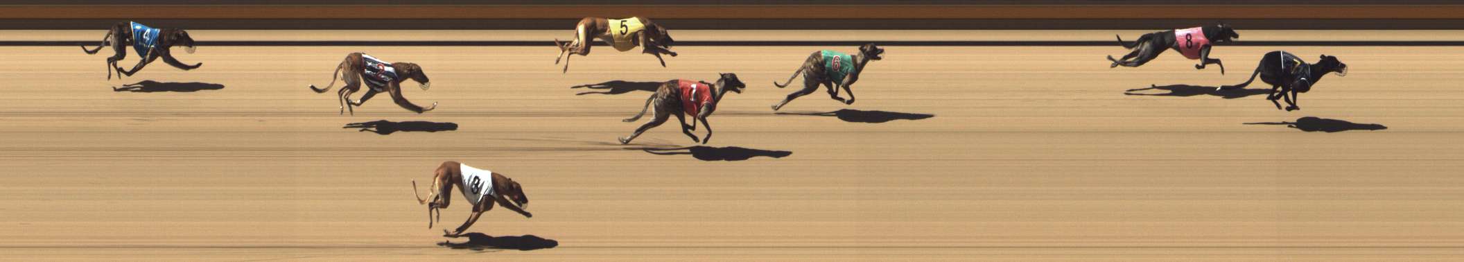 Photo finish for Shepparton Race 6