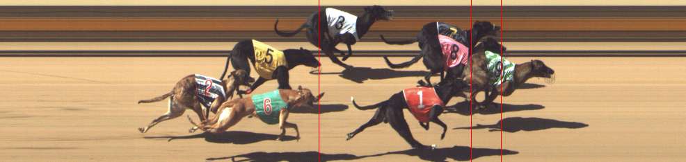 Photo finish for Shepparton Race 7