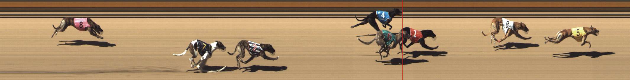 Photo finish for Shepparton Race 8
