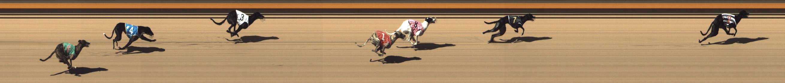 Photo finish for Shepparton Race 9