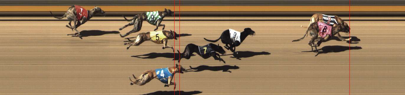 Photo finish for Shepparton Race 10