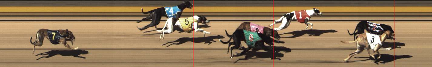 Photo finish for Shepparton Race 11