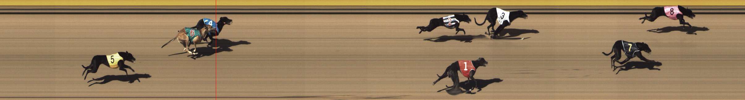 Photo finish for Shepparton Race 12