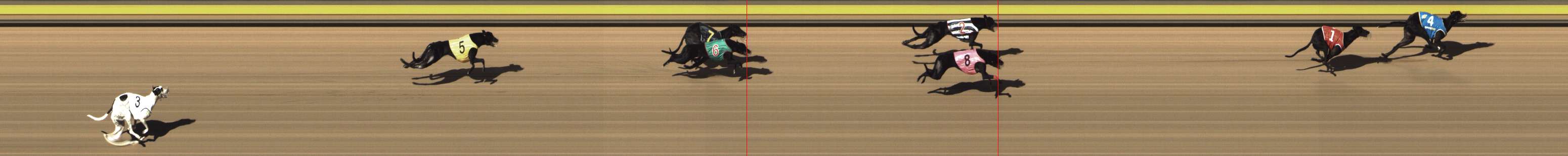 Photo finish for Shepparton Race 13