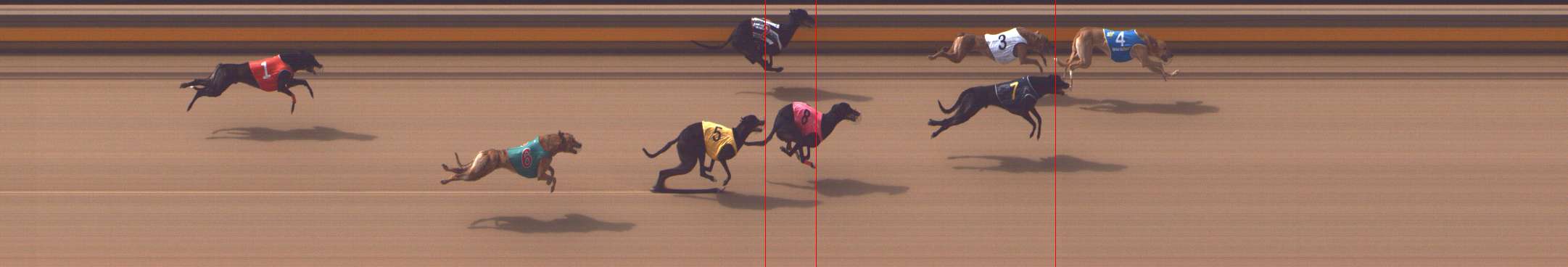 Photo finish for Shepparton Race 1