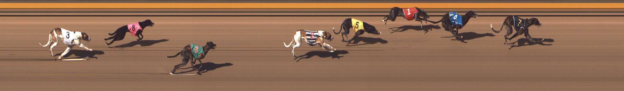 Photo finish for Shepparton Race 10
