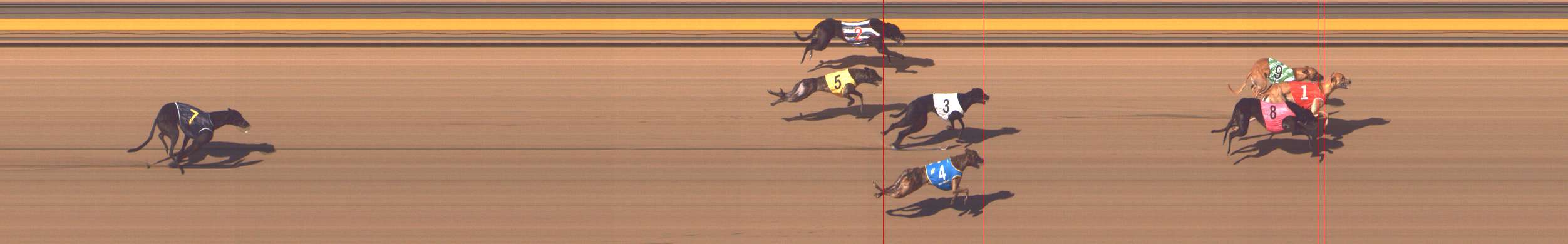 Photo finish for Shepparton Race 11