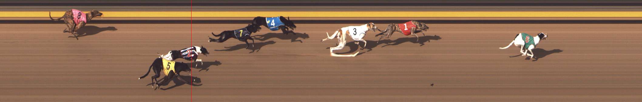Photo finish for Shepparton Race 13