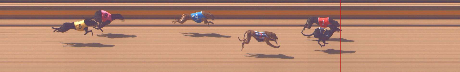 Photo finish for Shepparton Race 2