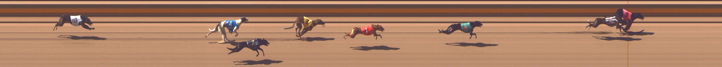 Photo finish for Shepparton Race 3