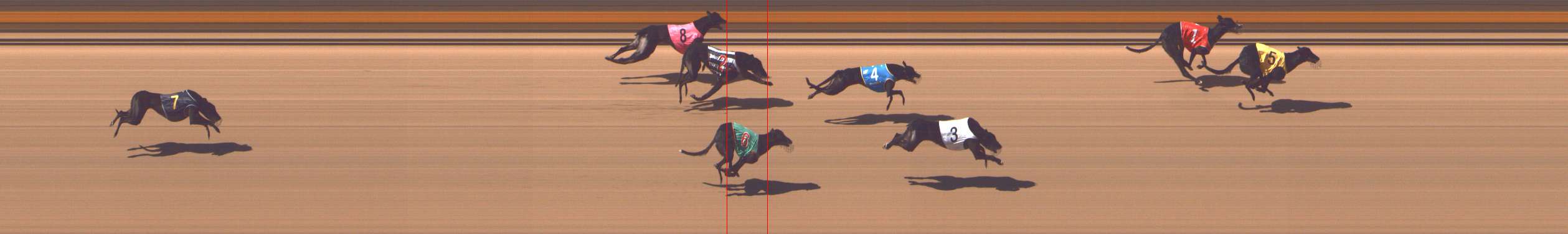 Photo finish for Shepparton Race 6