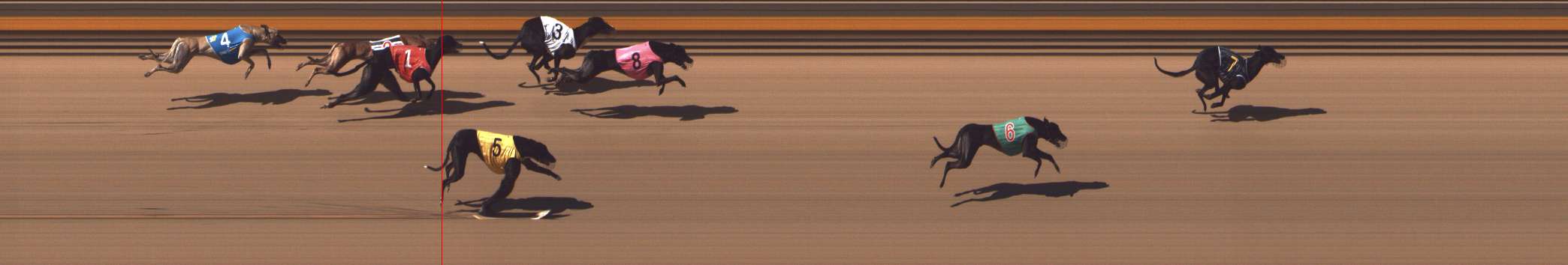 Photo finish for Shepparton Race 7