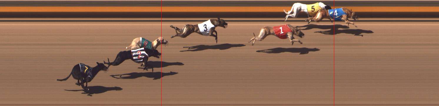 Photo finish for Shepparton Race 8