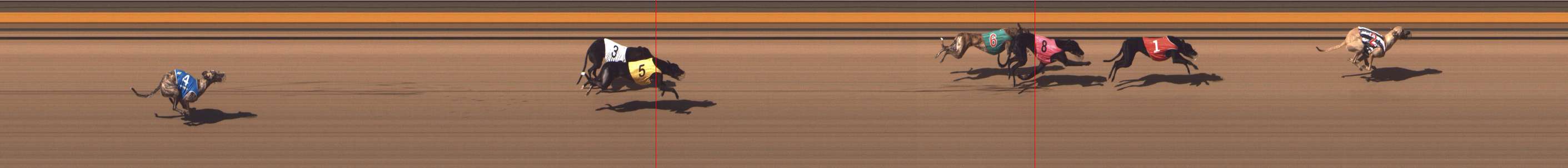 Photo finish for Shepparton Race 9