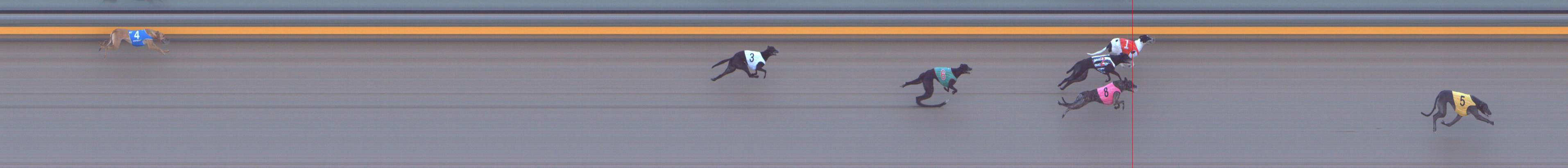 Photo finish for Shepparton Race 1