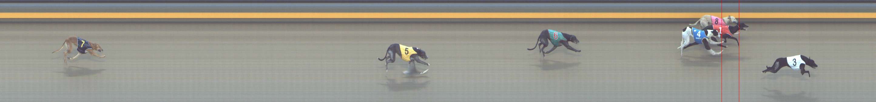 Photo finish for Shepparton Race 2