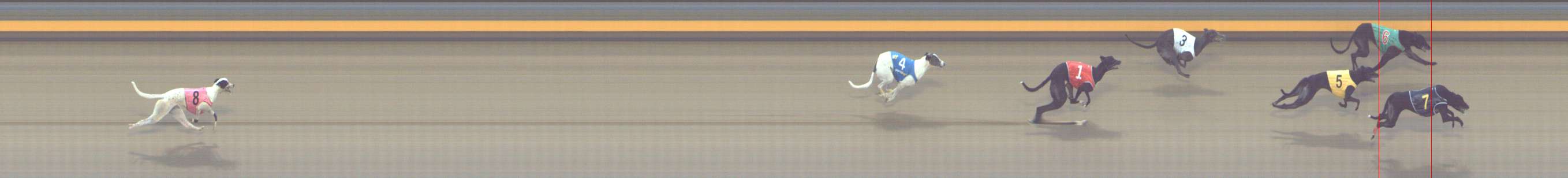 Photo finish for Shepparton Race 3