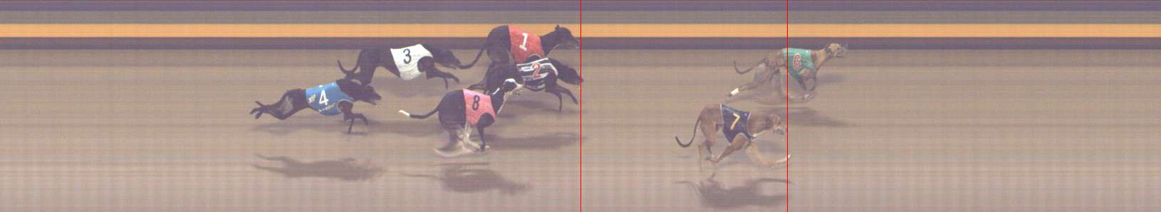 Photo finish for Shepparton Race 4