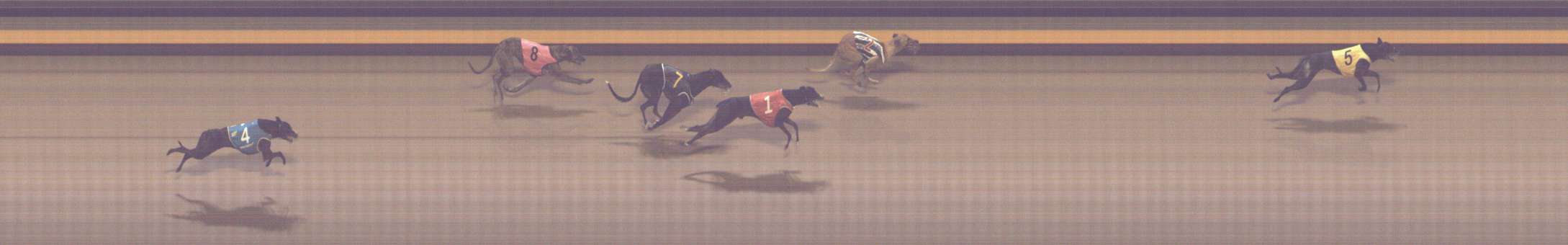 Photo finish for Shepparton Race 5