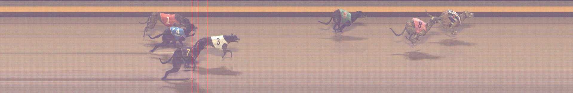 Photo finish for Shepparton Race 6