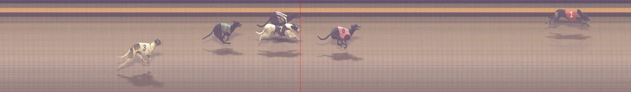 Photo finish for Shepparton Race 7