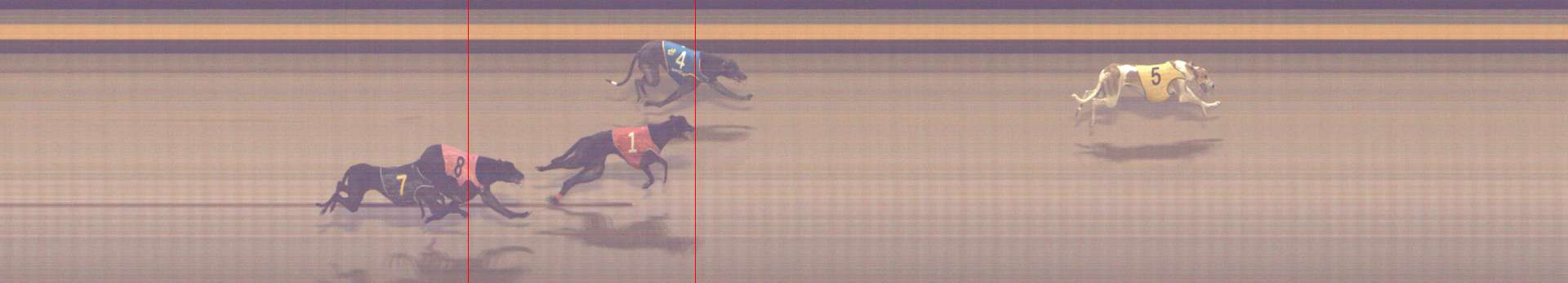 Photo finish for Shepparton Race 8
