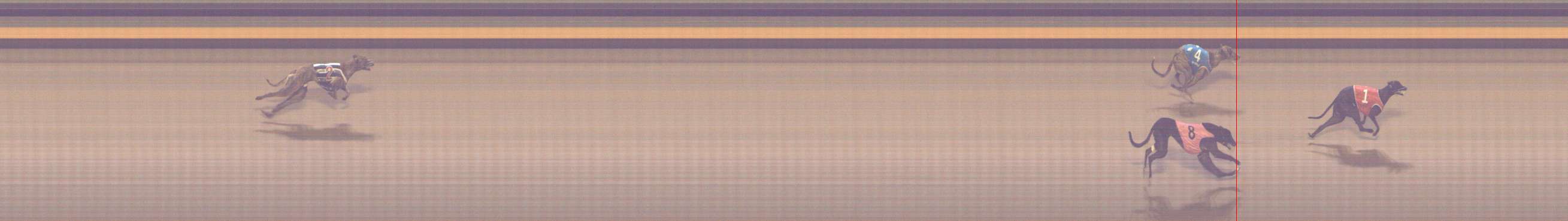 Photo finish for Shepparton Race 9