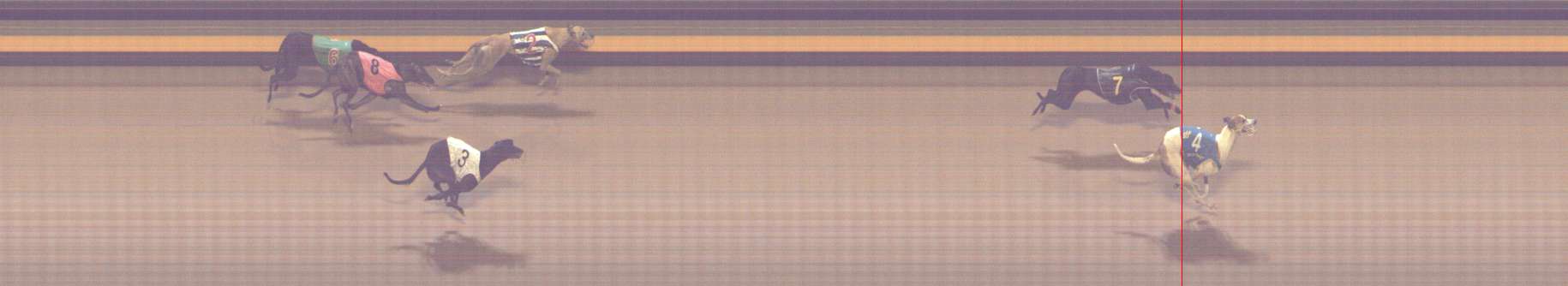 Photo finish for Shepparton Race 11