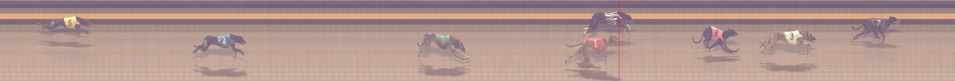 Photo finish for Shepparton Race 12