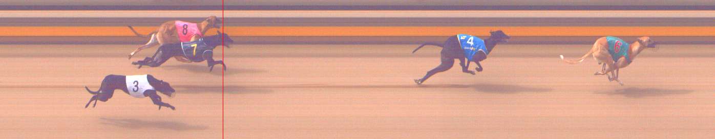 Photo finish for Shepparton Race 2