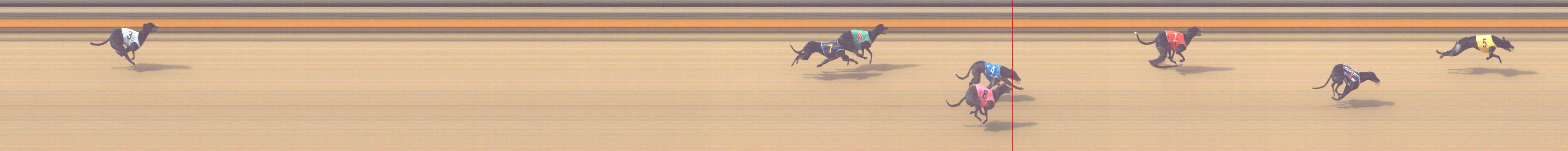Photo finish for Shepparton Race 4