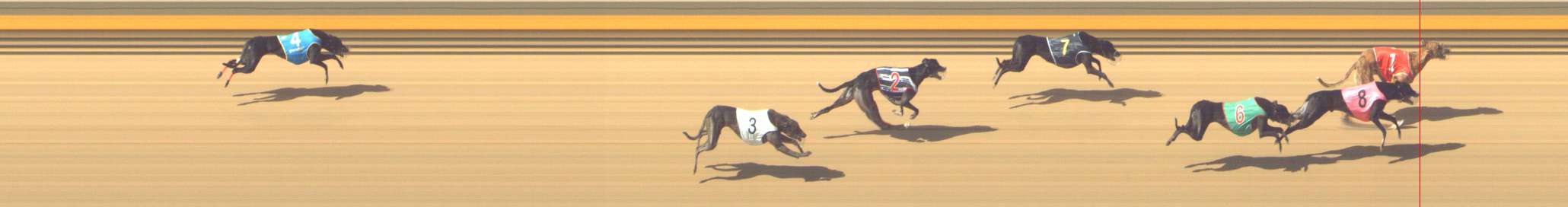 Photo finish for Shepparton Race 6