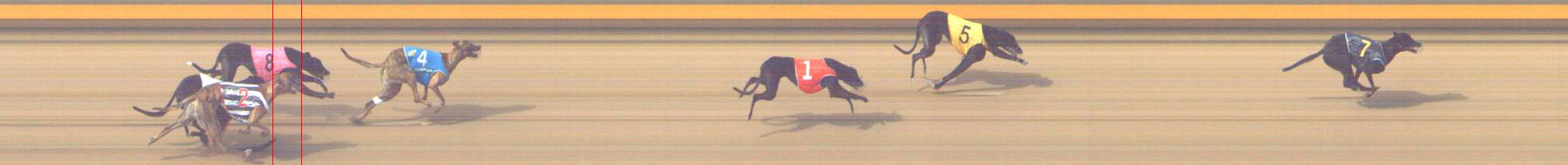 Photo finish for Shepparton Race 7