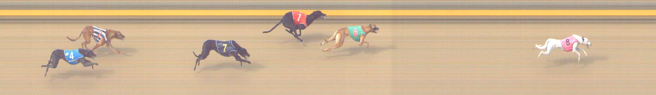 Photo finish for Shepparton Race 9