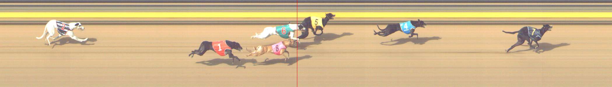 Photo finish for Shepparton Race 10