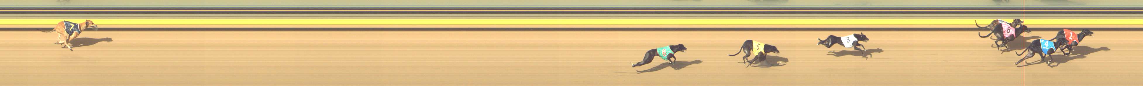 Photo finish for Shepparton Race 11