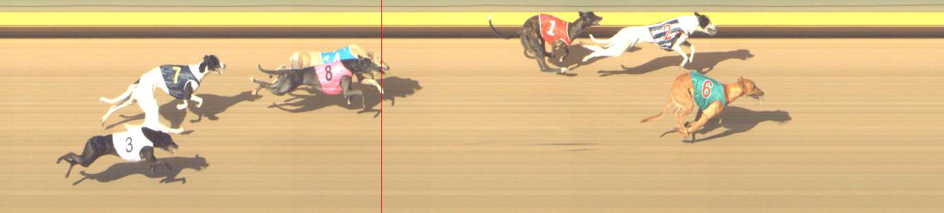 Photo finish for Shepparton Race 12