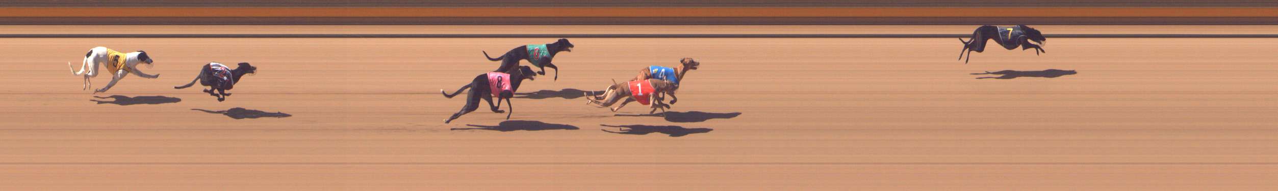 Photo finish for Shepparton Race 2