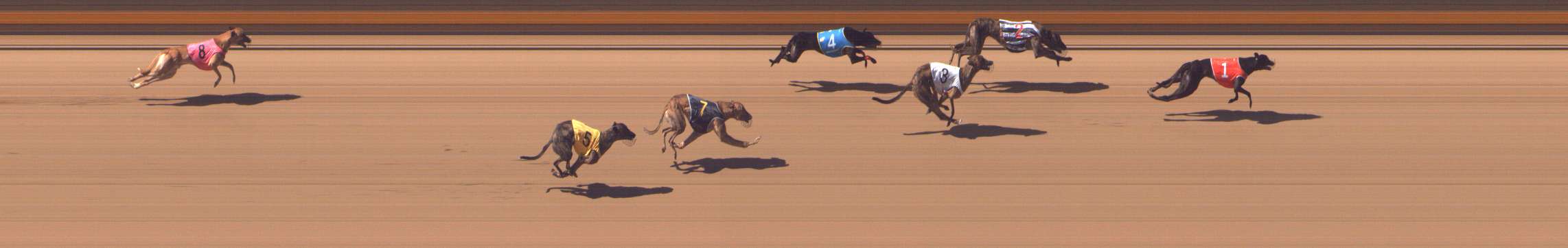 Photo finish for Shepparton Race 3